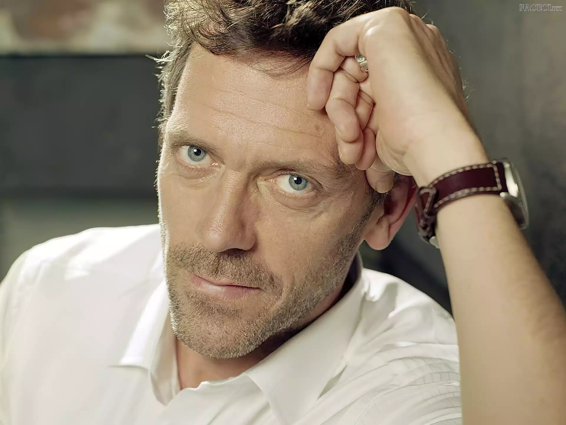 Biała, Zegarek, Hugh Laurie, Koszula